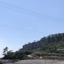 알라딘호 | 왕초보 의외로 꿀잼이었던 제주 바다낚시🎣 - 알라딘호 선상낚시 추천