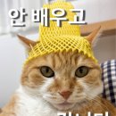 원조