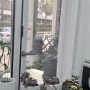 태릉초등학교 | 공릉동 미용실 &#39;시크릿헤어&#39;에서 뿌리아이롱+볼륨매직 받고 남동생 머리 대변신!