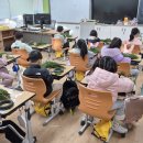 나산초등학교 | 키즈플라워클래스 |크리스마스 리스 만들기 수업🎄 12월 수업들 기록