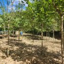 순식농장 이미지