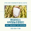 현대 라이스 위탁 영농조합법인 | [인천/강화]깨끗한 공정과 안정적인 품질의 강화 대표 도정기업 :: 현대라이스위탁영농조합법인