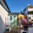 OK | [오산]가족모임하기좋은장소추천 | 이색적인 캠핑식당 "92픽 구이픽" Ok존 후기