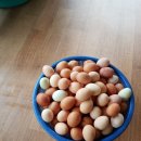 일도 농장 이미지