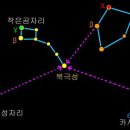 작은곰자리 Daum카페