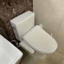 그린토피아 | 수원 변기교체 비용 - 변기 냄새 제거 방법, 인계동 LD그린토피아 후기