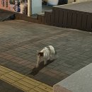 바다그린 | [바다위에그린씨푸드] 보령 대천해수욕장 보일링씨푸드 / 내돈내산 후기