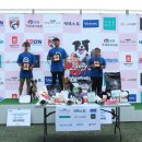 윤선생애견훈련소 이미지