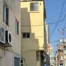 경주 노포 맛집 월성 분식 제육볶음 생선구이 후기
