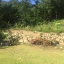 강림면311 이미지