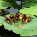 위플러스메디칼 이미지