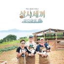 tvN "'삼시세끼' 여자편? 아직 확정된 바 없어" 이미지