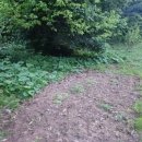 기필농장 이미지