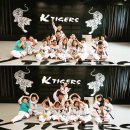 케이타이거즈(KTIGERS) 태권도장 이미지