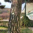 노송어린이공원 이미지