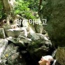 홀라