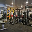 백프로짐 이미지