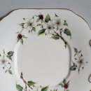 도그 블라썸 이미지