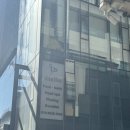 [강남역] 디엘로 바디&amp;왁싱 두피스파 - 하나도 안아팠던 하드왁싱 후기