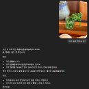 송화로20번길 12 | 평택 기린아 ㅣ서울에서도 찾아오는 평택 돈까스맛집 기린아 웨이팅 ㅣ기린아 주말 오픈런 후기