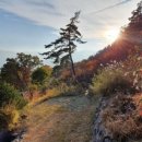 선돌촌마을 이미지