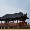 고래불국민야영장 이미지