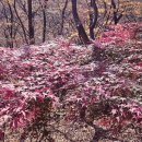 만추가경
