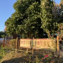 대가정통묵집 이미지