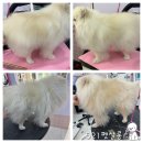 김소율샵 이미지