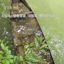 상서로 | 장가계 5일차 여행기 – 황룡동굴, 대협곡 유리다리 &amp; 트래킹, 매력상서쇼
