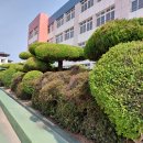 죽도초등학교 이미지