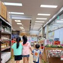 세븐일레븐 가평목동점 | 가평읍 플러스마트, 가평 목동 따숨카페, 목동막국수