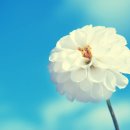 안산감동한의원 이미지