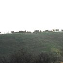 홍주목장 이미지