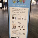 새각 | 태어난김에 세계일주 팝업 굿즈 종류 가격 등 후기
