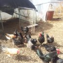 송함농장 이미지