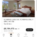 수동수영장 | 다낭 메리어트 리조트 &amp; 스파, 플래티넘 혜택, 수영장