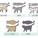 정상메디칼 네이버블로그
