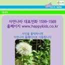 자연나라 이미지