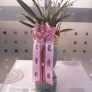 맥시칸치킨점 이미지