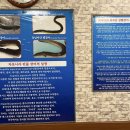 수유리 민물장어 맛집 이미지