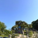 별똥구리 | 용인 수지 오프리쉬 애견카페 [별똥구리] 내돈내산 후기