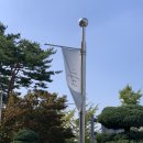 구 칸예웨스트 현 예 X 정품 악기 타이 달라 사인의 벌쳐스 &#39;콘서트&#39; 후기