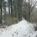 무봉산둘레길 이미지