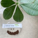 경희동인한의원 이미지