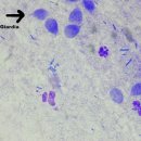 포천동물병원 이미지