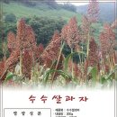 슬로시티수산협동조합 이미지