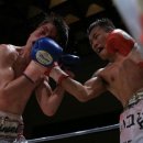 마장백화점약국 이미지