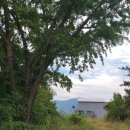 퇴로리 용현정사 이미지