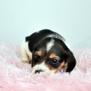 오목교역 6번출구 이미지